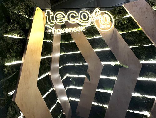 teco_post_site_cast